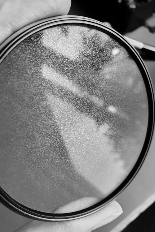 DIY Alternative zu Black Pro-Mist Filter - Fotofilter mit Haarspray Tiershooting, Tierfotografie mit Gegenlicht